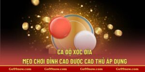 Cá Độ Xóc Đĩa