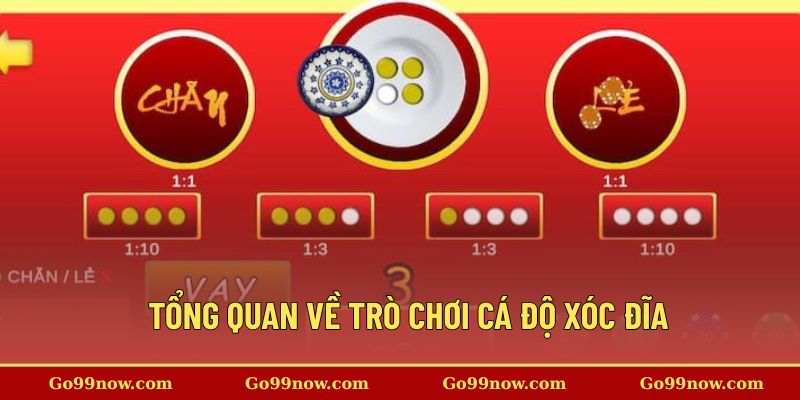 Tổng quan về trò chơi cá độ xóc đĩa